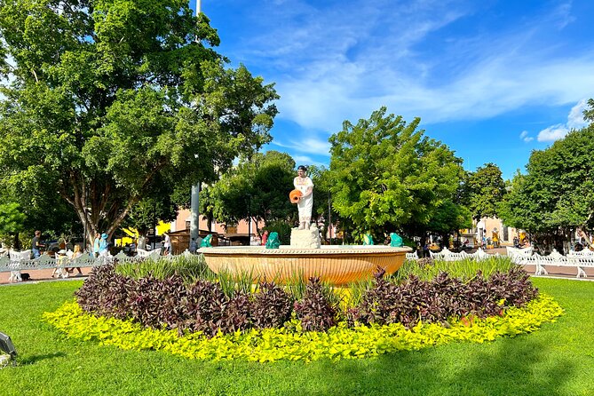 Chichen Itza, Cenote & Valladolid Tour with Tequila and Lunch - Who will enjoy this day most
