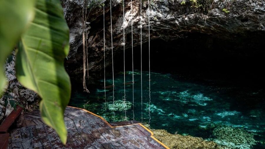 Coba, Tulum, Cenote & Lunch ECO Full Day from Rivera - FAQ