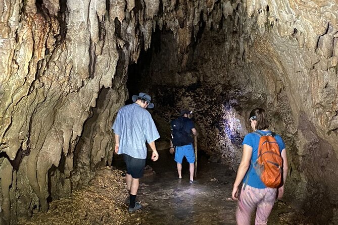 Cole's Cave Spelunking Adventure - The main hall, wildlife, and unusual rock formations