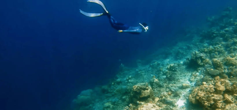 Coron: Pukaway Cave Underground Lake Tour w/Lunch (Shared) - Coral Garden brings the best underwater break