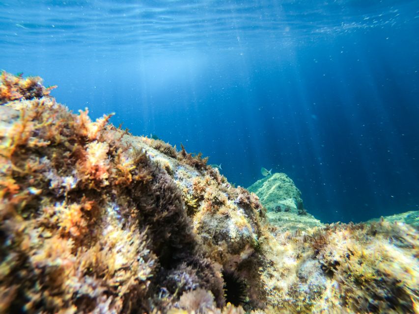 Costa Brava: Sea Caves Kayaking and Snorkeling Tour - Practical booking advice