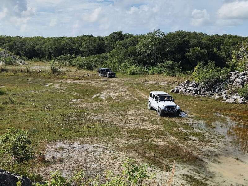 Cozumel: 5-Hour Private Caves and Ruins Tour with Lunch - Meeting your guide and getting out of town