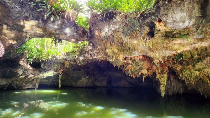 Cozumel: ATV Off-Road Adventure to Jade Cavern - Who will enjoy this tour most?