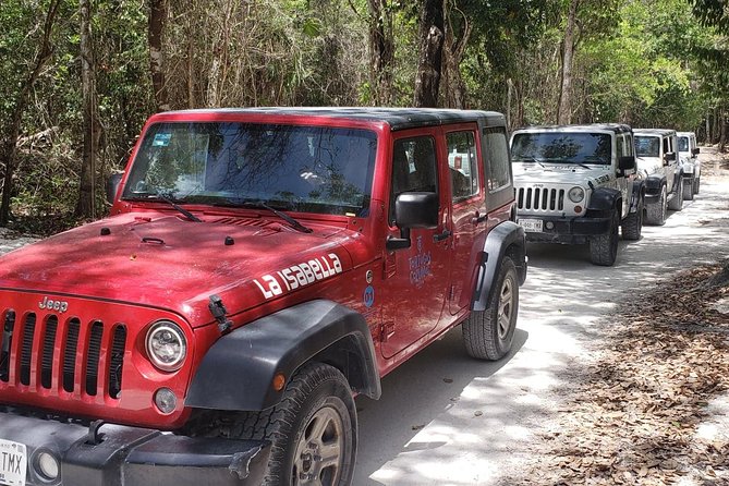 Cozumel Jeep Adventure to Jade Caverns with Lunch and Snorkel - Lunch and snorkeling at Tortugas