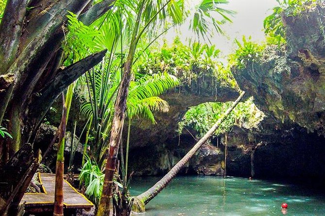 Cozumel Jeep Adventure to Jade Caverns with Lunch and Snorkel - Who gets the best value