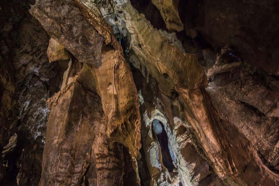 Cradle of Humankind and Sterkfontein Caves Half-Day Tour - A short break near the caves