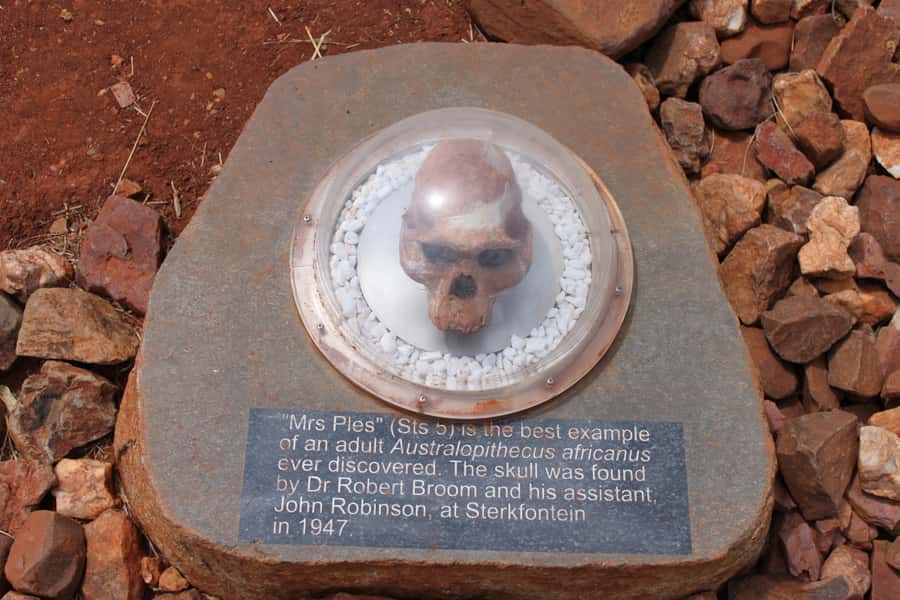 Cradle of Humankind and Sterkfontein Caves Half-Day Tour - Maropeng’s museum and underground boat ride