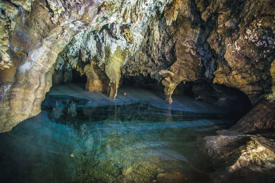Cradle of Humankind and Sterkfontein Caves Half-Day Tour - Gift shop and the final ride