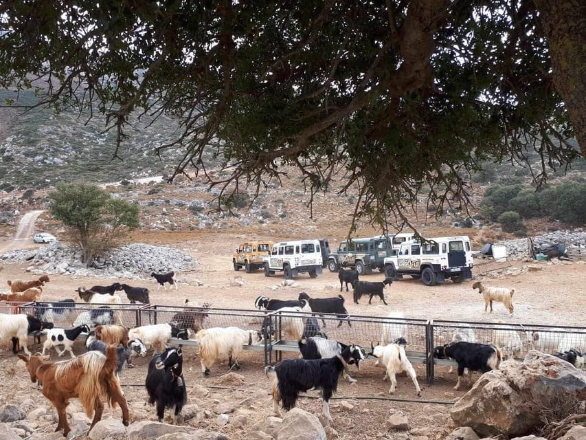 Crete: Lasithi Plateau Zeus Cave Guided Jeep Safari Tour - Guides, vehicles, and the small-group advantage