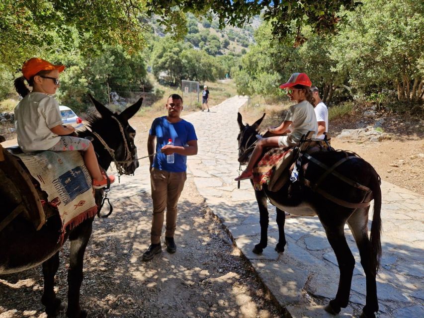 Crete: Lasithi Plateau Zeus Cave Guided Jeep Safari Tour - Zeus Cave and the walk into mythology