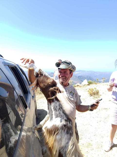 Crete: Lasithi Plateau Zeus Cave Guided Jeep Safari Tour - Lunch in a local taverna