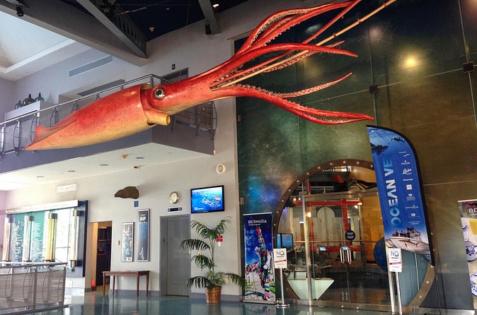 Crystal Caves and Bermuda Underwater Exploration Institute Admission - How the transportation affects the day