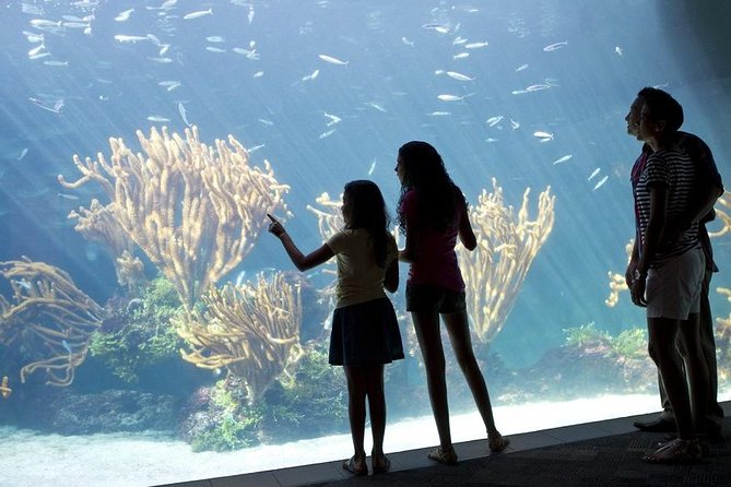 Crystal Caves, Aquarium, City of Hamilton and Ferry - Crystal Cave and the 83-step descent