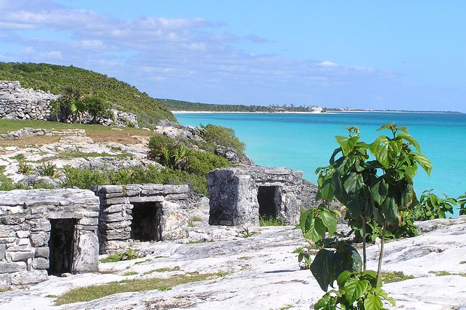 Day Trip to Tulum, Coba and Cenote Maya - Quinta Avenida and the final hour