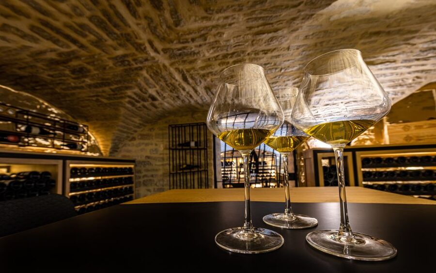 Dijon: La Cave du Palais Burgundy Wine Tasting Experience - Entering the vaulted room and meeting your host