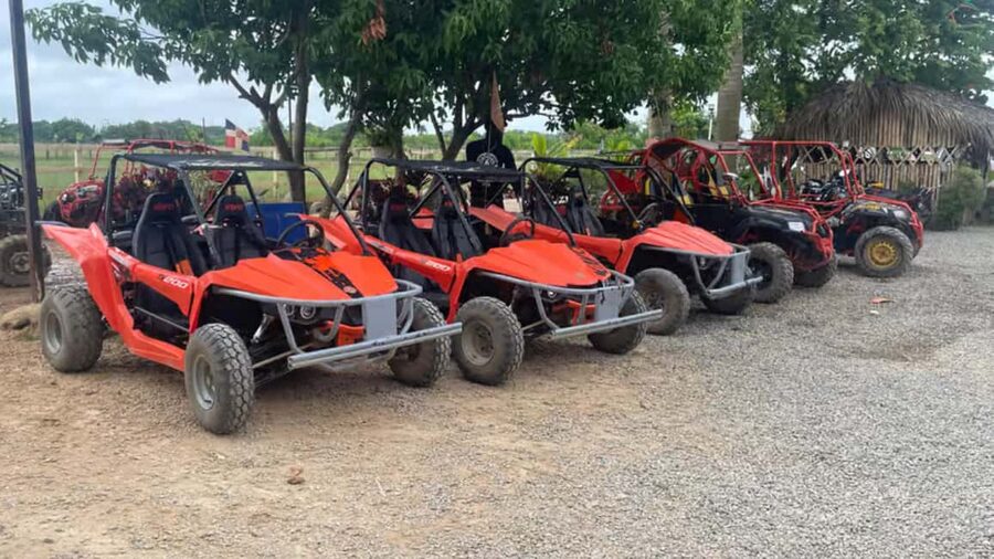 Discover Punta Cana Tour Buggy & ATV Tour Macao Beach Cenote - Private jungle trails and the Dominican farm