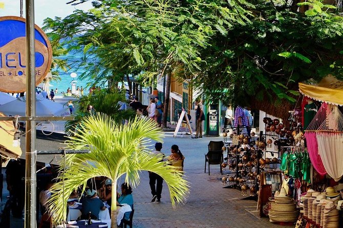 Discover Tulum, Visit Coba And Swim In A Real Mayan Cenote and Playa del carmen - Regional lunch keeps the long day moving