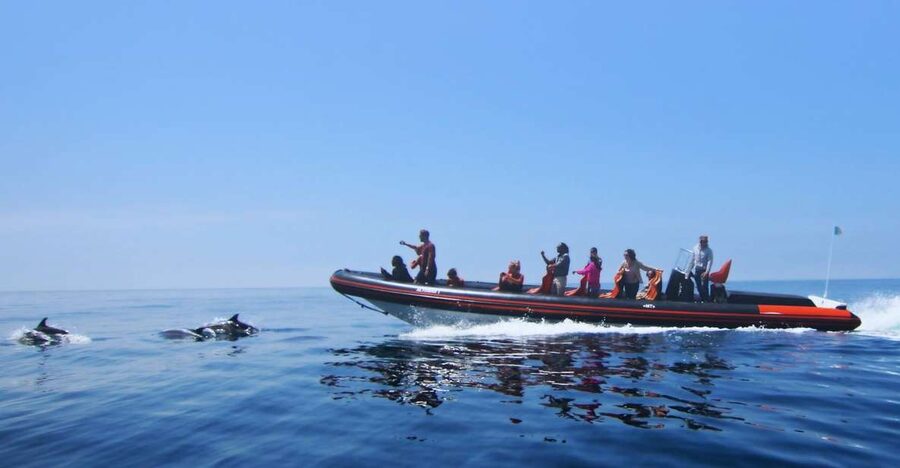 Dolphin Safari and Cave Tour in Vilamoura - What the 105-minute boat ride feels like