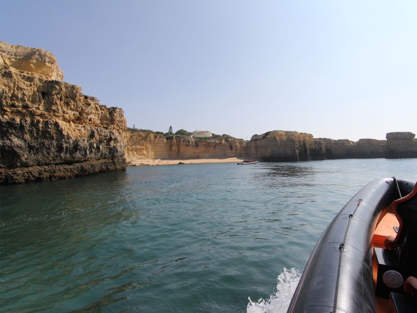 Dolphin Safari and Cave Tour in Vilamoura - Caves, rock formations, and the return cruise
