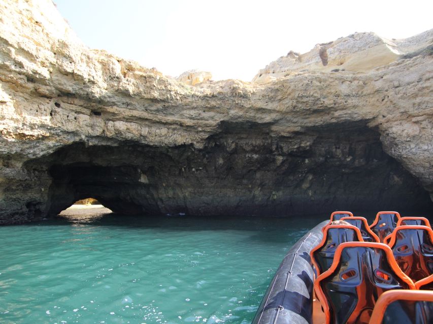Dolphin Safari and Cave Tour in Vilamoura - Who will enjoy this most?