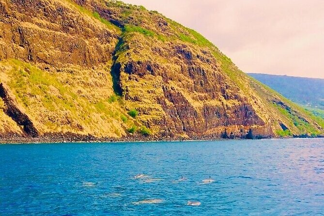 Dolphin, Sea Cave & Captain Cook Snorkel Combo in Kealakekua Bay - Tips for getting the most from the trip