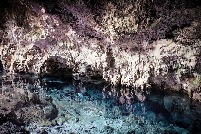Dolphin tour, Jozani Forest, Jambiani Kuza Cave, Paje Beach &The Rock restaurent - Kuza Cave, Swahili culture, and a cold swim