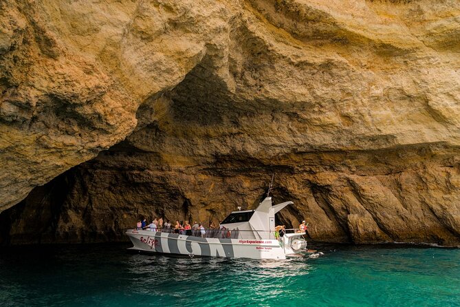 Dolphin Watching and Cave Boat Cruise from Albufeira - From Albufeira marina to the open Atlantic