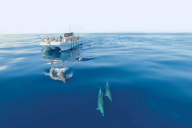 Dolphin Watching and Cave Boat Cruise from Albufeira - Weather changes the whole experience