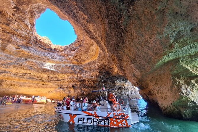 Dolphin Watching and Caves Cruise - Key things to know before you book