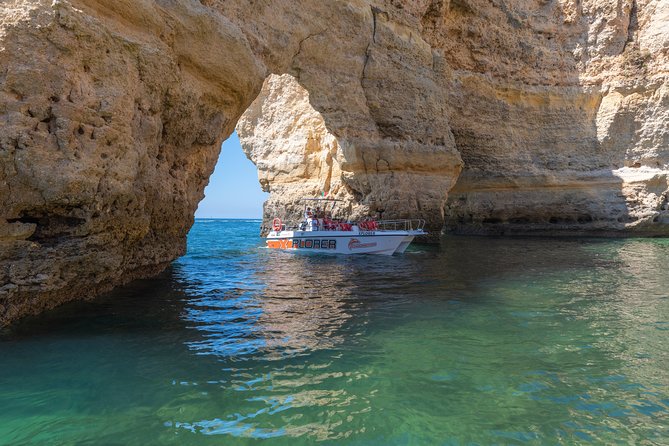 Dolphin Watching and Caves Cruise - Who will enjoy this cruise most?
