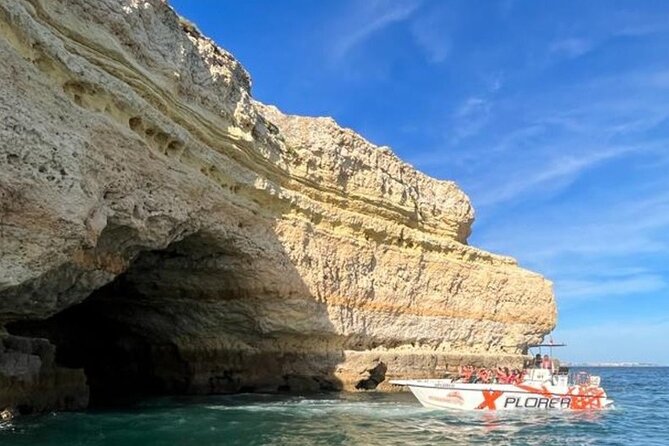 Dolphin Watching and Caves Cruise - Is $42.34 a fair price?
