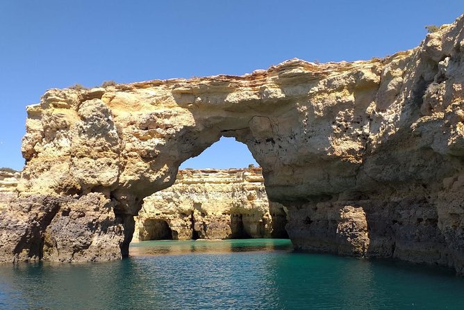 Dolphins Search and Benagil Caves from Albufeira - Is $36.28 good value?