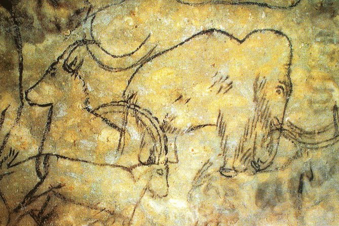 Dordogne Day Tour : Prehistory and The Art of the Caves from Sarlat - Key points to know before you book