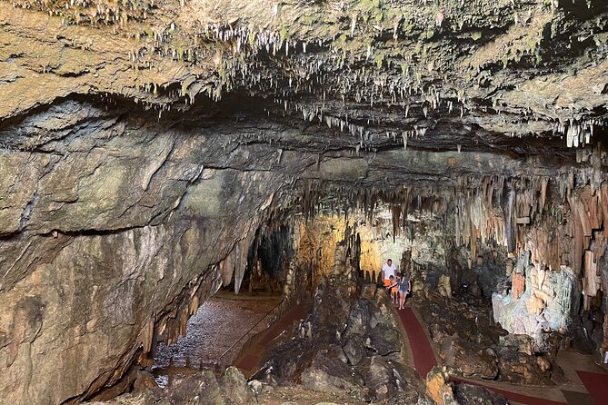 Dream Tour: Melissani Lake, Drogarati Cave, Myrtos (viewpoint) - The island views between the main stops