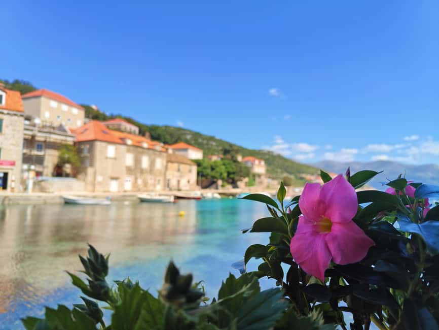 Dubrovnik: Blue Cave & Elaphiti Islands Full-Day Boat Tour - The real value of the $64 price