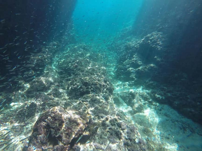 Dubrovnik: Blue Cave, Green Cave & Sunj Beach Speedboat Tour - What the $73 price really covers