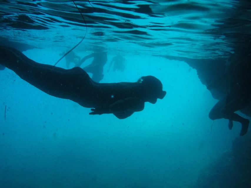 Dubrovnik: Blue Cave & Sunj Beach Boat Tour with Drinks - Swimming through the Three Green Caves