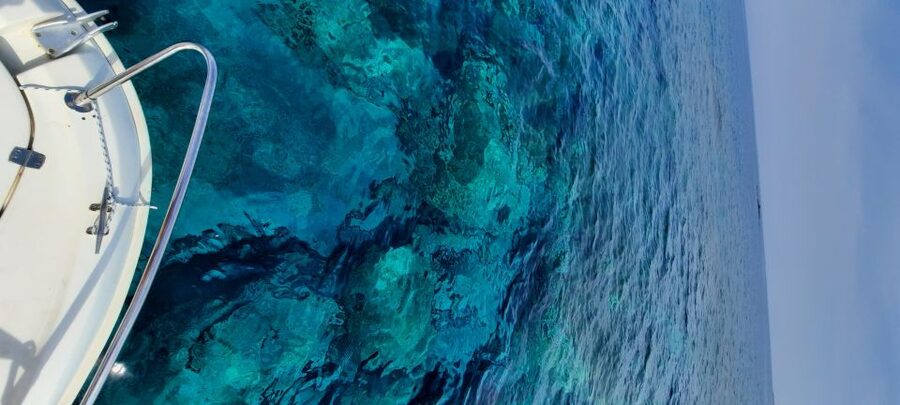 Dubrovnik: Blue Cave Tour by Speedboat - Key details before you book