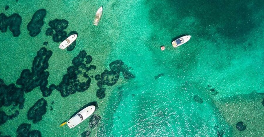 Dubrovnik: Blue & Green Caves Private Boat Tour with Drinks - Swimming into Kolocep’s Blue Cave