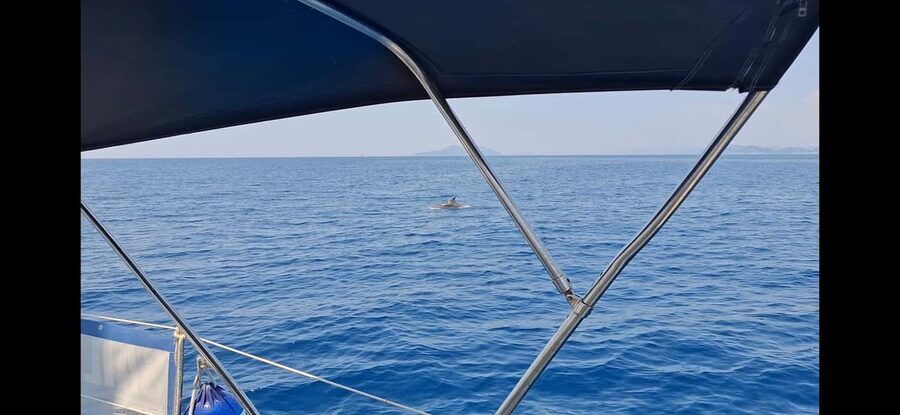 Dubrovnik : Full Day Group Boat Tour to Elaphiti & Blue Cave - The return route and the final Koločep swim
