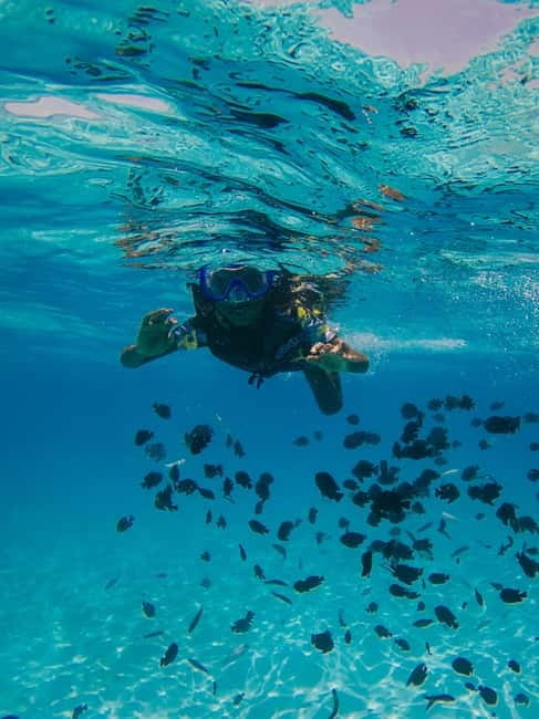 Durres & Tirana: Speed Boat Trip to Sazan, Karaburun & Cave - Haxhi Ali Cave from the sea