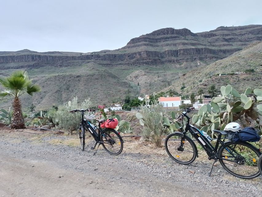 E-Bike Mountain Tour in Natural Park +Option Tapas in a Cave - The steady climb through Ayagaures Valley