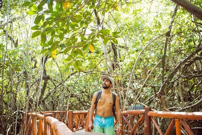 Eco Park Casa Tortuga Cenotes and Tulum Ruins! Riviera Maya Round Transportation - Booking and cancellation details