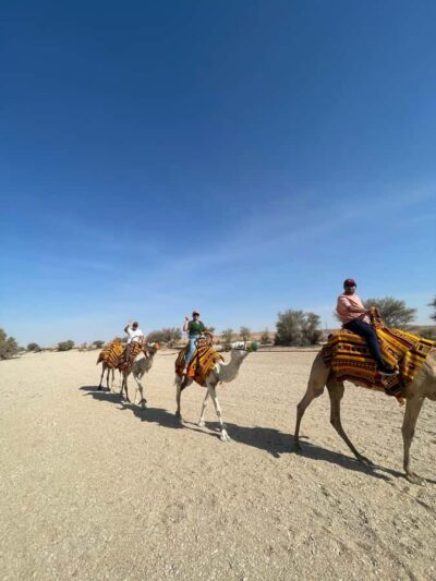 Edge of The World Riyadh,Camel Ride ,Bat Cave Visit & Dinner