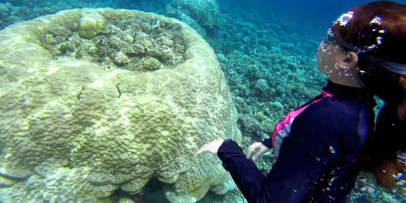 El Nido: Island Hopping Tour B Cudognong Cave & More - What the $25 price really includes