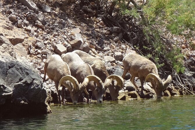 Emerald Cave & Black Canyon Kayak Tour with Vegas Pickup - Practical clothing and packing advice