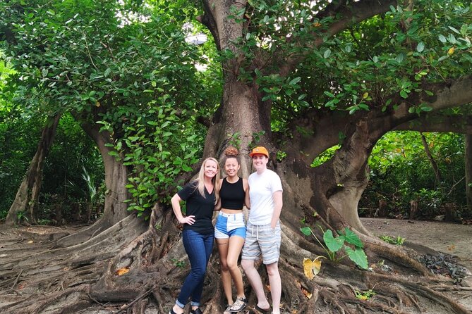 Experience Cancun's Hidden Gems, Mayan museum, cenote & Market 23 - What the private format changes