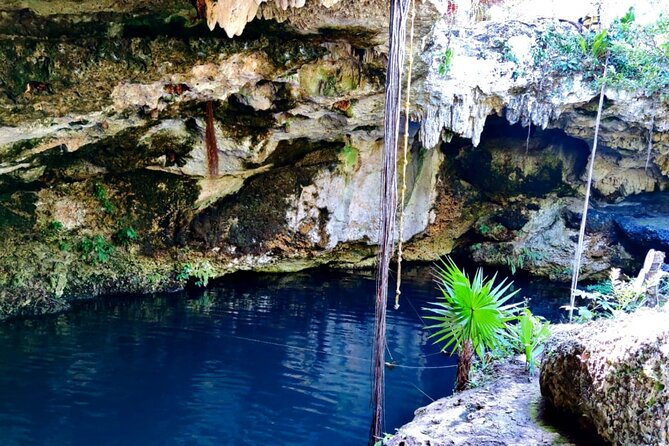 Experience Cancun's Hidden Gems, Mayan museum, cenote & Market 23 - Is $213.35 a fair price?
