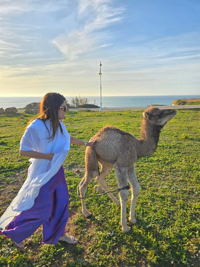 Explore Tangier: Cap Spartel, Cave, & Camel Ride Adventure - At a glance