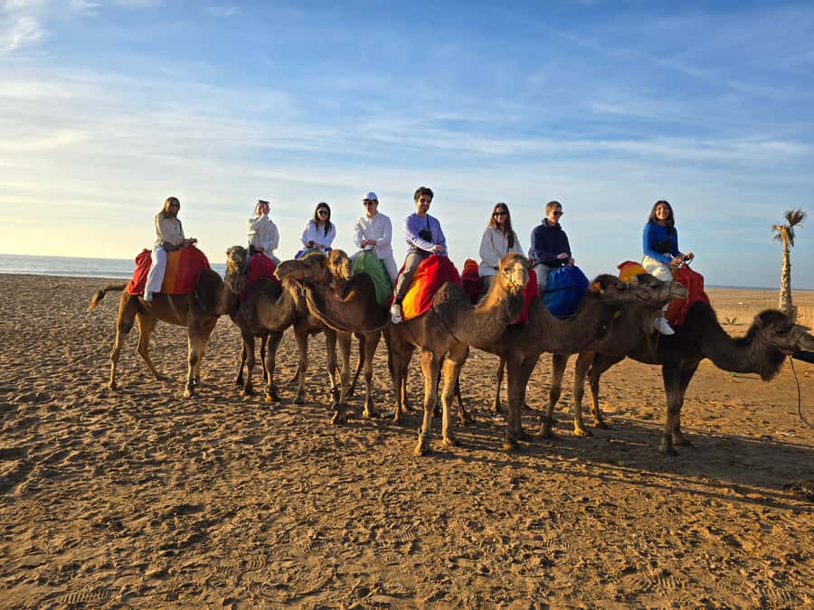 Explore Tangier: Cap Spartel, Cave, & Camel Ride Adventure - Should you book the Cap Spartel and camel ride tour?